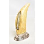 An early 20th century whale tooth desk thermometer raised on a pierced silver plated stand, height
