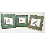 RH PETHERICK; three watercolour studies 'Robin', 'Jay' and 'Goldcrest', each signed lower right,