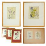 After Charles Rennie Mackintosh; six coloured prints, 'Cuckoo Flower', 'Willow Herb', 'Petunia',