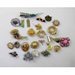 A quantity of costume brooches to include a dragonfly, cameo etc.