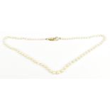 A string of graduated cultured pearls with 9ct yellow gold clasp.Additional InformationThe largest