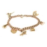 A small 9ct yellow gold charm bracelet suspending various charms including pheasant, penguin and