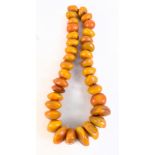 A massive butterscotch/egg yolk amber coloured necklace of extraordinary proportions, the largest '