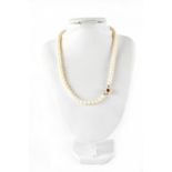 A single-strand pearl necklace with 9ct gold clasp and amber stone.