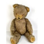 A mid-20th century mohair teddy bear with growler, length 53cm.Additional InformationDamage/
