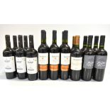 SOUTH AMERICA; seventeen bottles of red wine comprising Luis Felipe Edwards Gran Reserva Carmenere