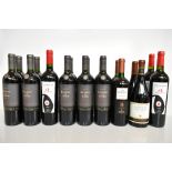 SOUTH AMERICA; seventeen bottles of red wine including three Pisano (Uruguay) Tannat 2016, Dona