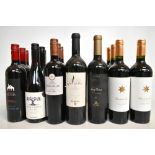 ARGENTINA & CHILE; seventeen bottles of red wine including Luigi Bosca de Sangre 2012, Clos de los