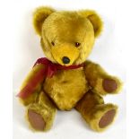 PEDIGREE; a pre-1955 teddy bear with glass eyes, length 48cm.Additional InformationGeneral wear, the