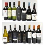 SOUTH AMERICA; twenty-one bottles of red wine including five Errazuriz Max Reserva 2010 Cabernet