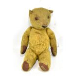 CHAD VALLEY; a mid-20th century golden mohair teddy bear with amber glass eyes, stitched nose and
