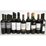 ARGENTINA & CHILE; eighteen bottles of red wine including six Los Molles Gran Reserva Syrah 2015,