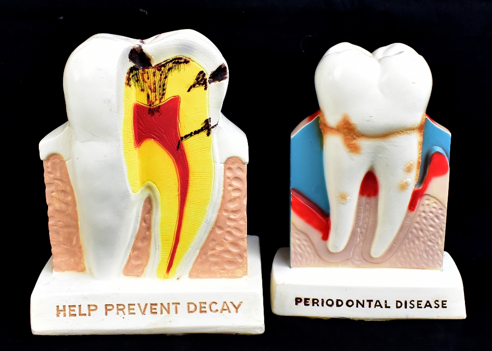 MATTEI; two dental advertising displays comprising 'Periodontal Disease', height 19cm, and 'Help