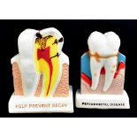 MATTEI; two dental advertising displays comprising 'Periodontal Disease', height 19cm, and 'Help