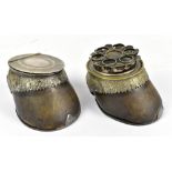 A 19th century seven division cigar holder and inkwell, each fashioned from a horse's hoof with