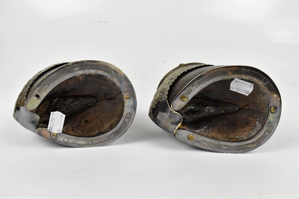 A 19th century seven division cigar holder and inkwell, each fashioned from a horse's hoof with - Image 2 of 2