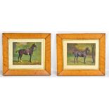 LEWIS-MAY; a pair of oils on canvas, horse studies, one signed and dated 1909 lower right, 25.5 x