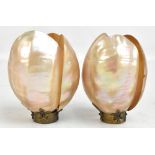 A pair of late 19th century mother of pearl shades on brass stands, each fashioned from four open