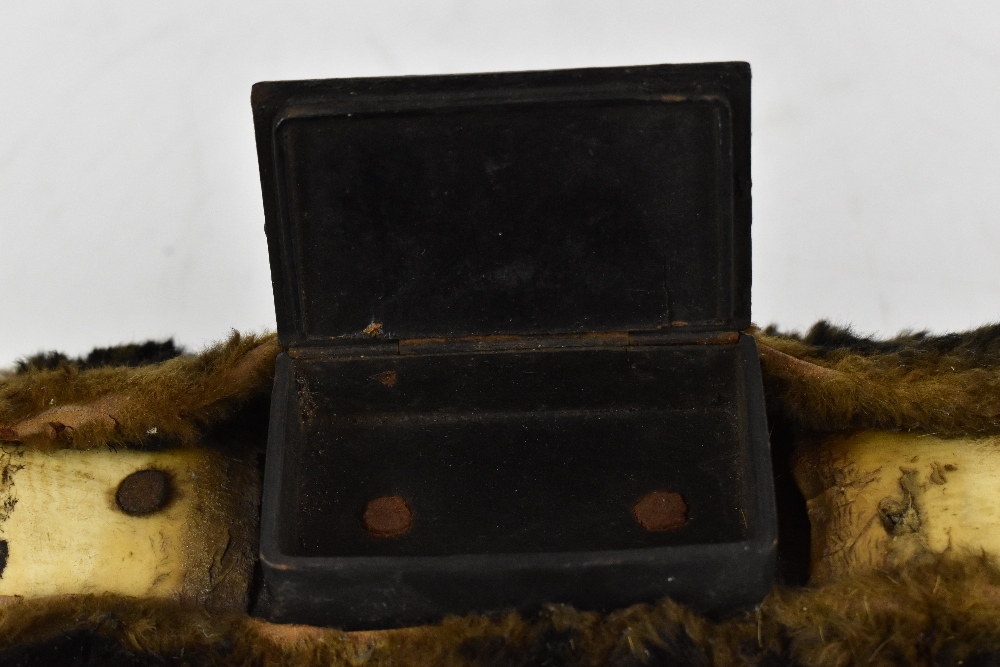 TAXIDERMY; a pair of wall mounted buffalo horns with applied Victorian snuff box, length 38cm. - Image 2 of 2