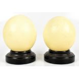 TAXIDERMY; two ostrich eggs raised on turned wooden plinth bases, height of larger example 18cm (