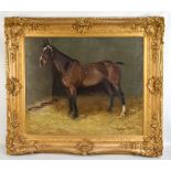 EVEYLYN HARKE (FL.1897-1919); oil on canvas, study of a hunter in a stable, signed, 50 x 60cm,