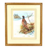 T HODGSON; watercolour, pheasants in snowy landscape, signed and dated 1915 lower left, 22.5 x 18.