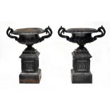 A pair of cast iron twin-handled garden urns on stands,