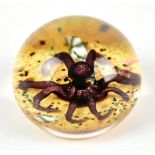 WILLIAM MANSON SENIOR; a limited edition glass paperweight encased with octopus on sea bed, signed