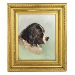 E SHELFORD; oil on canvas, portrait of a dog, signed and dated 1910 lower left, framed. Additional