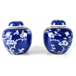 A pair of Chinese lidded ginger jars painted with cherry blossoms on a blue ground (2).
