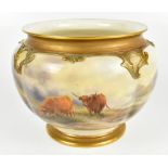 JOHN STINTON FOR ROYAL WORCESTER; a large ceramic jardiniere painted with Highland cattle in