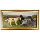 JOHN SARGEANT NOBLE (1848-1896); oil on canvas, a coursing scene with two dogs and game birds to