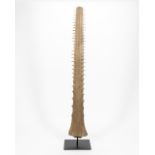 LARGE SAWFISH BILL ON STAND