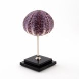 GIULIANO TINCANI DARK PURPLE SEA URCHIN SCULPTURE