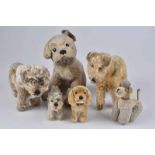 STEIFF/ HERMANN 6 Hunde, Mohair, "Revue Susi", "Tessie", Schild, "Mopsy", "Raudi", KF, Nr. 1317,