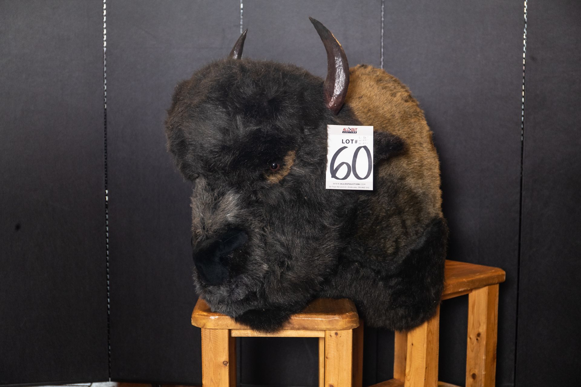 BUFFALO HEAD H-21" W-27" L-32"