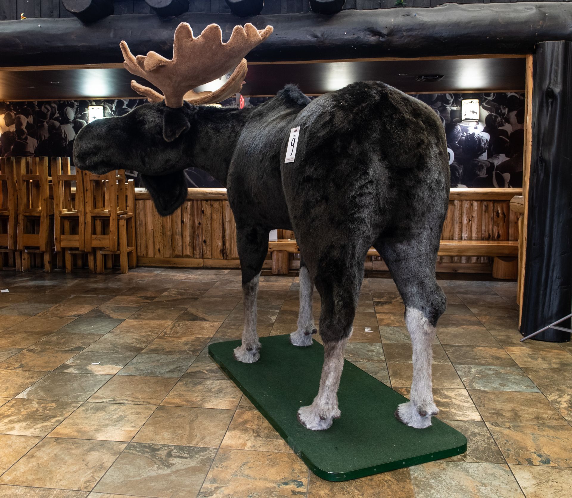 MOOSE (STUFFED- LARGE ITEM) - L 100" W 72" H 88" - Image 2 of 5