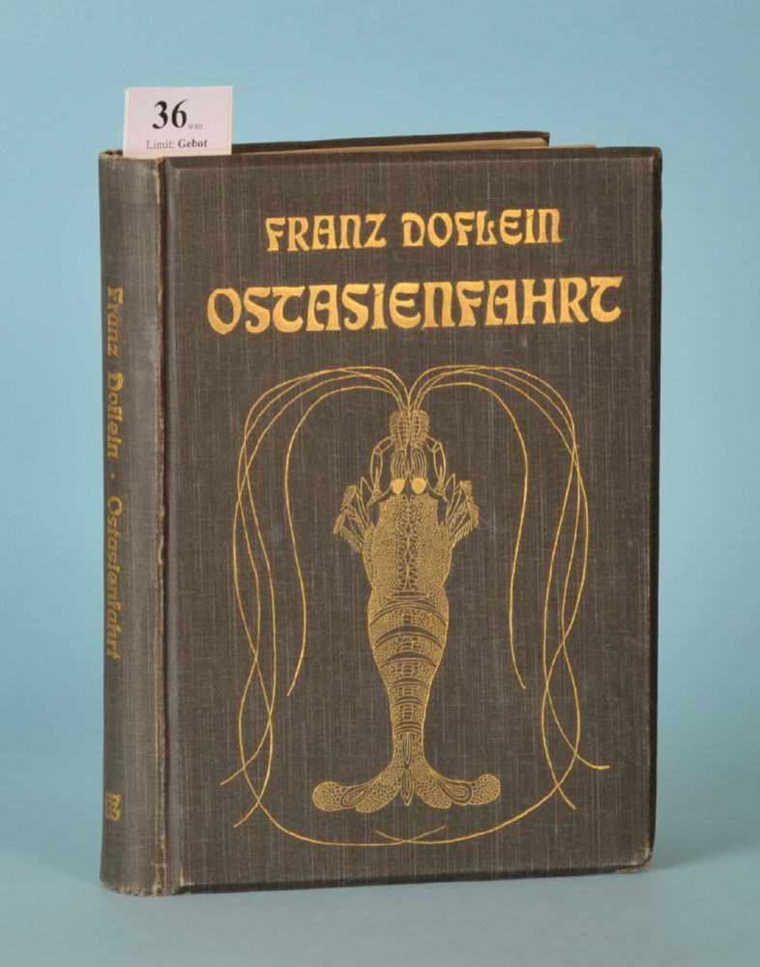 Doflein, Franz "Ostasienfahrt"zahlr., teilw. farb. Abb., 511 S., Vlg. B. Teubner, Leipzig, 1906,