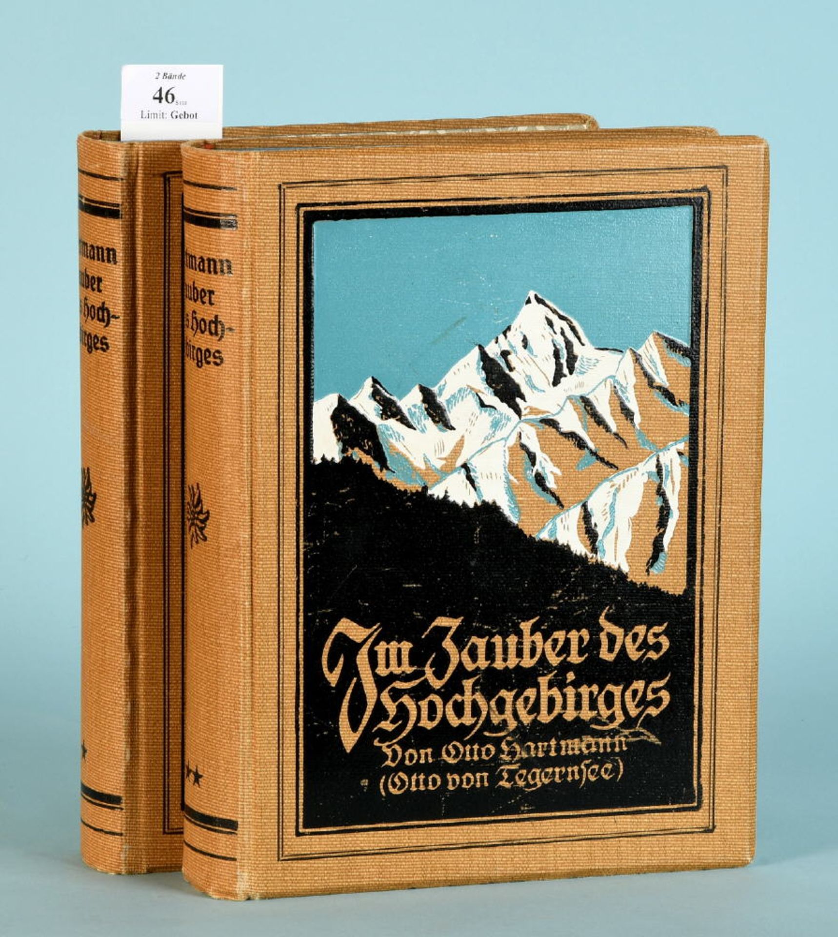 Hartmann, Otto "Im Zauber des Hochgebirges", 2 Bände710/735 teilw. farb. Abb., 795/812 S., Vlg. G.