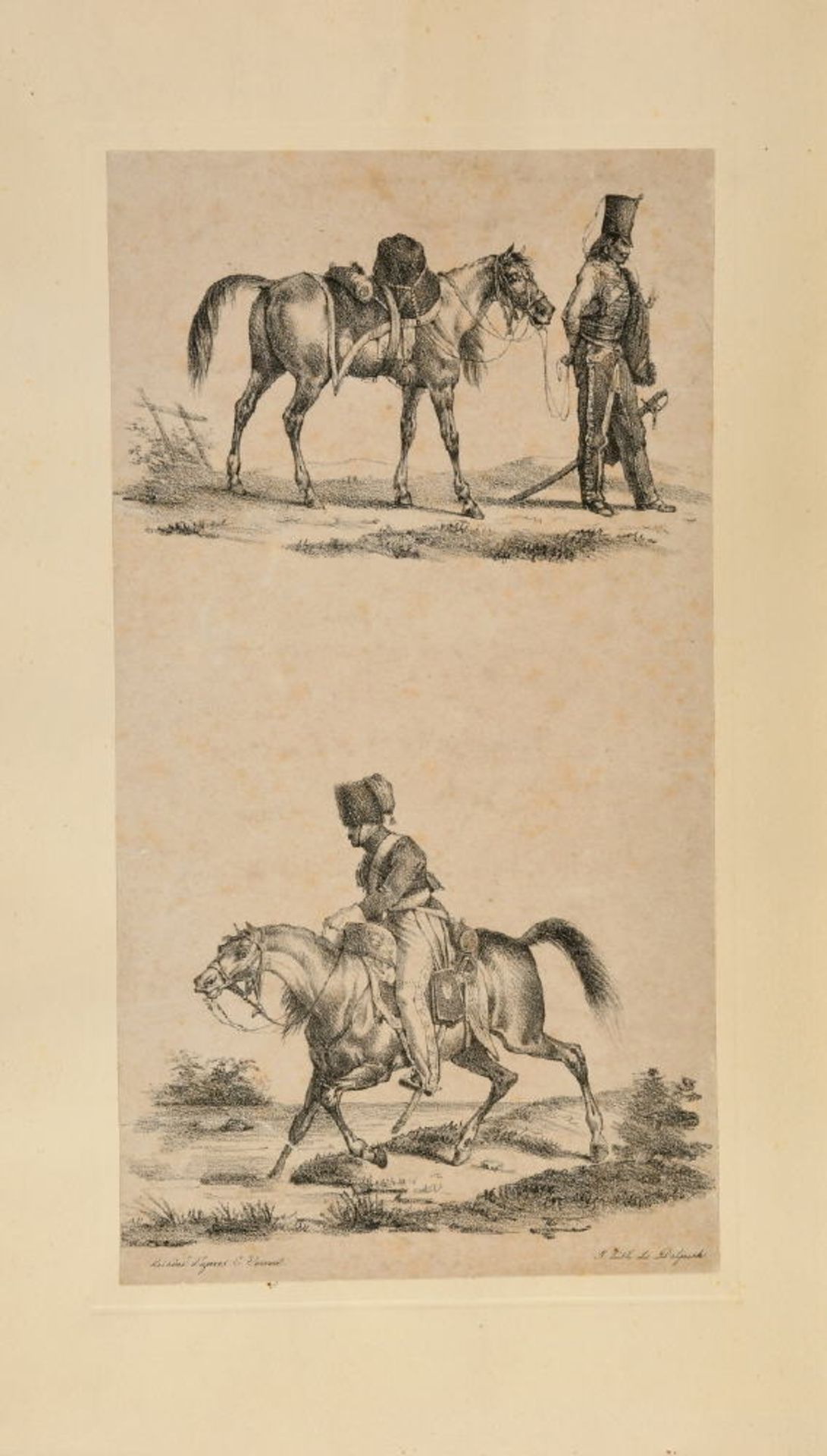 Delpech, Francois, 1778 - 1825 Paris