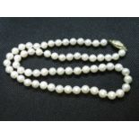 9ct clasp and pearl necklace