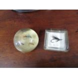 2x paperweights with flies cast inside