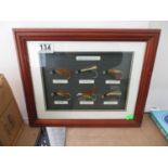 Framed picture of fly hooks