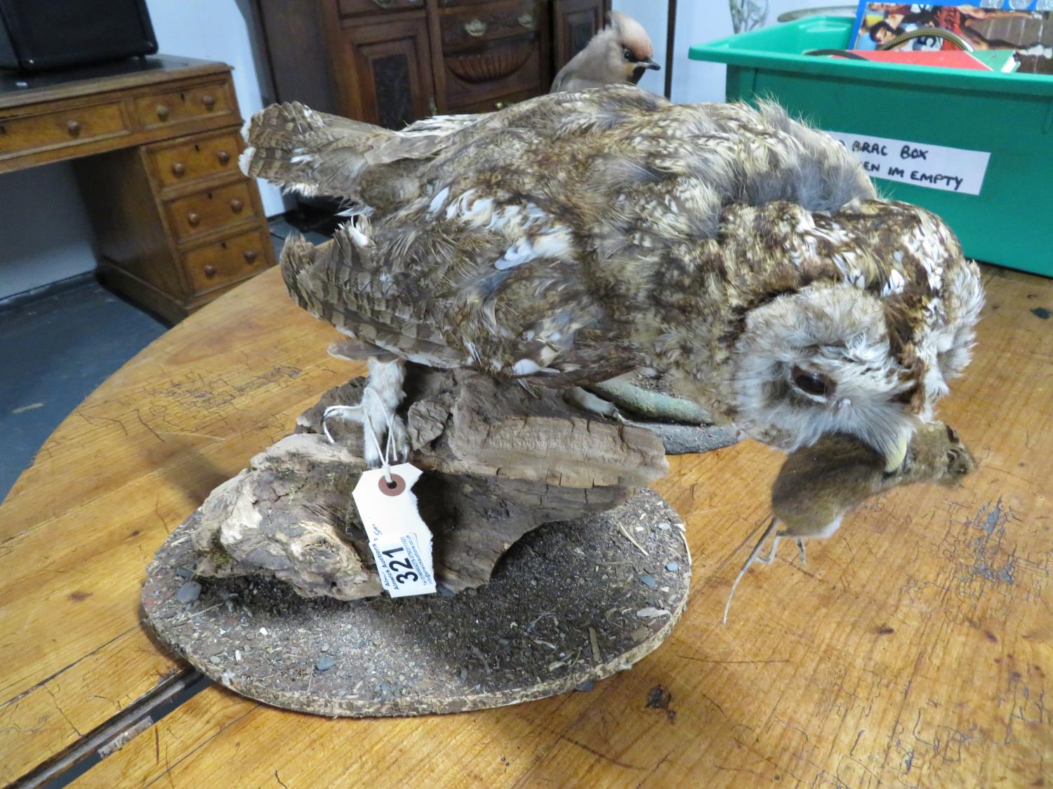 Taxidermy owl with mouse in beak