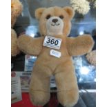 Steiff Teddy Bear