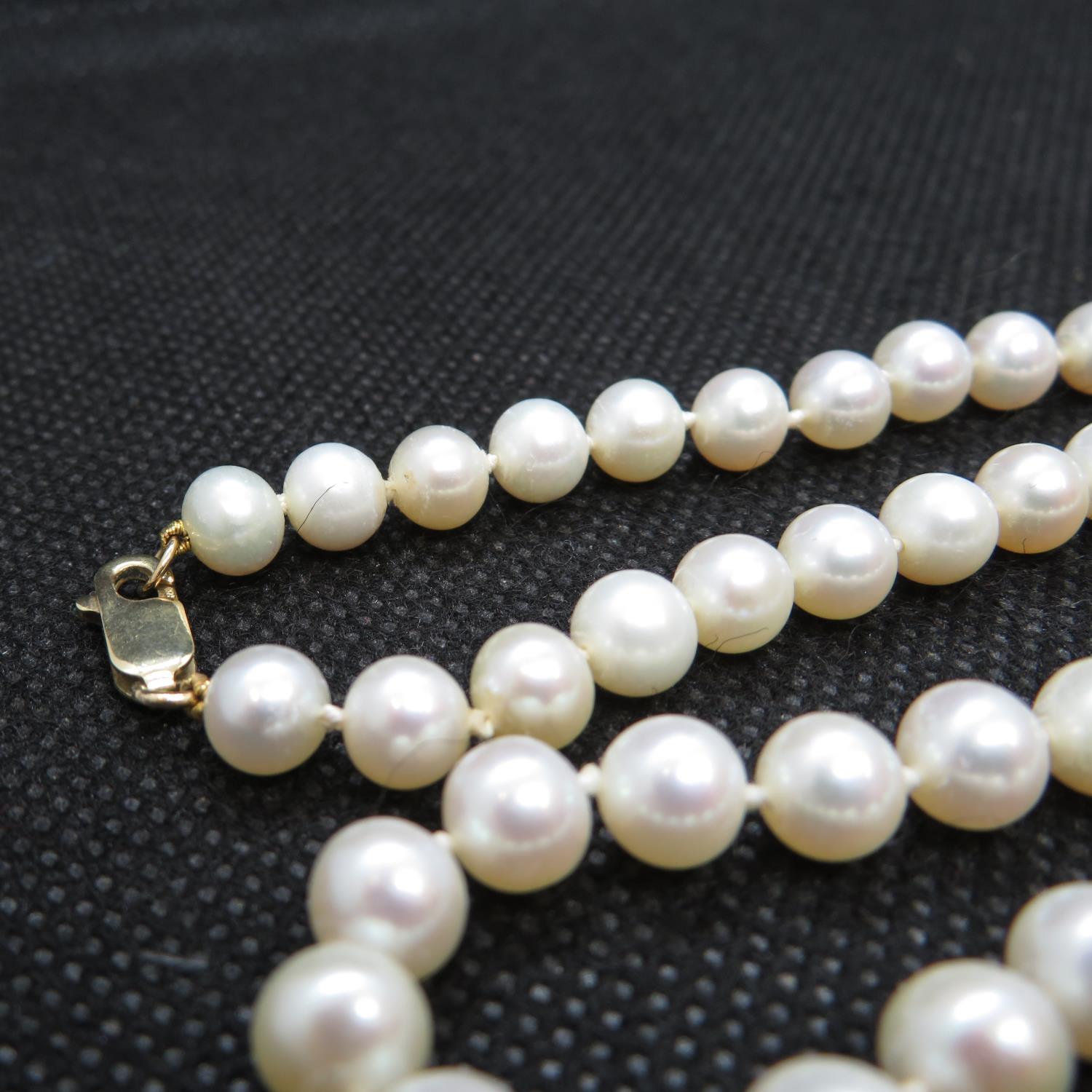 18" rope of cultured pearls 9ct gold clasp - Image 2 of 2