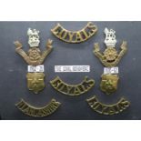Set of badges for Loyal Regiment