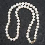 18" rope of 7mm cultured pearls with 9ct clasp boxed