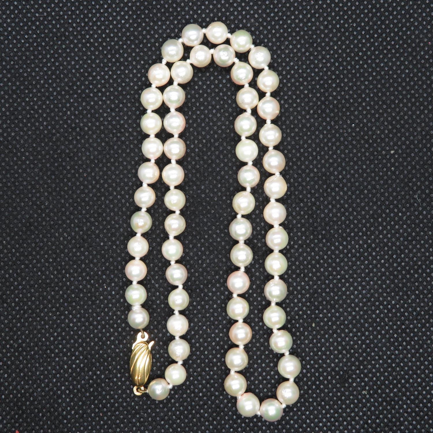 16" rope of 5.5mm cultured pearls with 9ct gold clasp