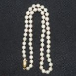 16" rope of 5.5mm cultured pearls with 9ct gold clasp